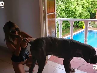 Ass licking dog