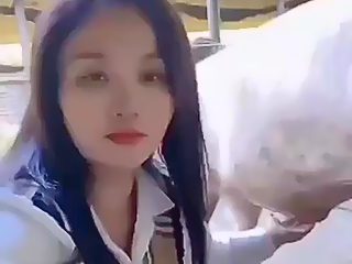 China animal pig porn