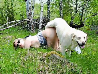 Animal porn in public