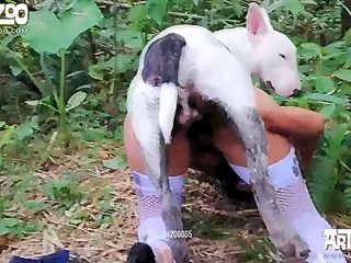 Forest animal sex video