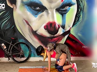 Dog sex public