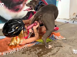 Dog sex public