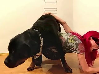 Teen girl dog sex